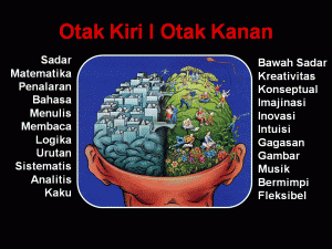 otak